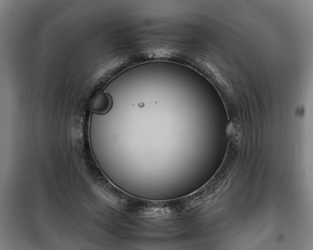 X0000100190543200806061301