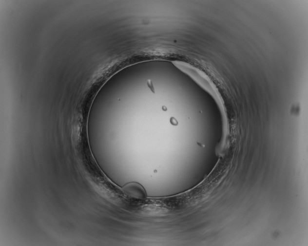 X0000100190544200806061301