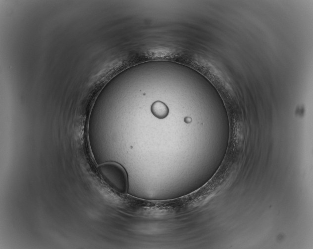 X0000100190545200806061301