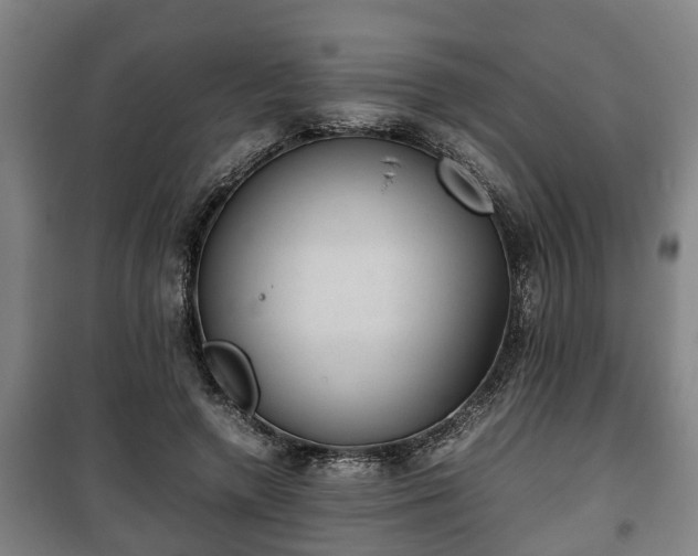 X0000100190546200806061301