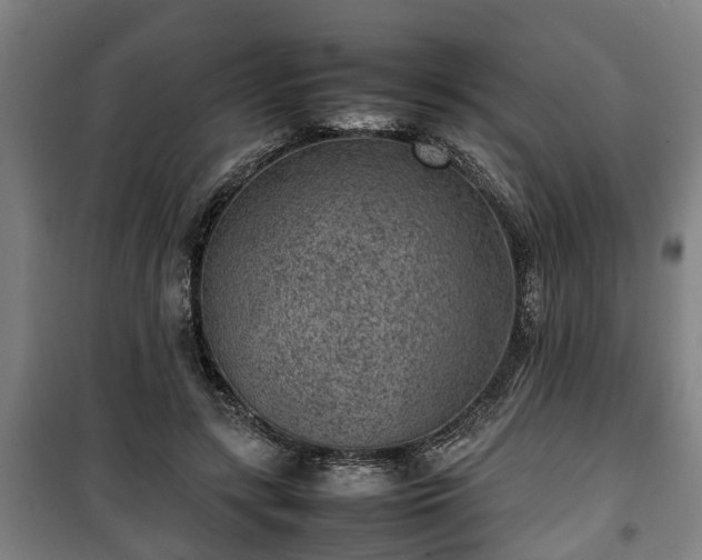 X0000100190547200806061301