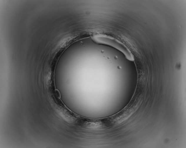 X0000100190548200806061301