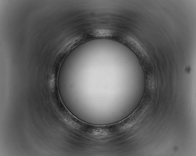 X0000100190549200806061301