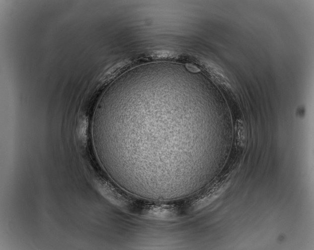 X0000100190550200806061301