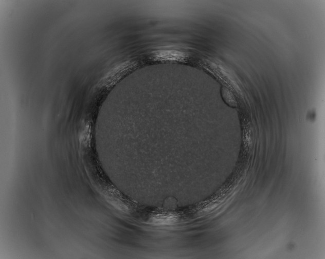 X0000100190551200806061301