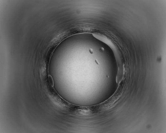 X0000100190552200806061301