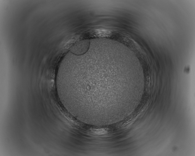 X0000100190553200806061301