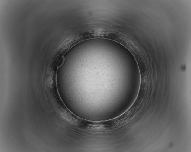 X0000100190554200806061301