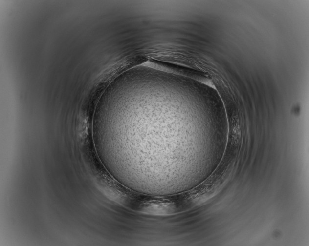 X0000100190555200806061301