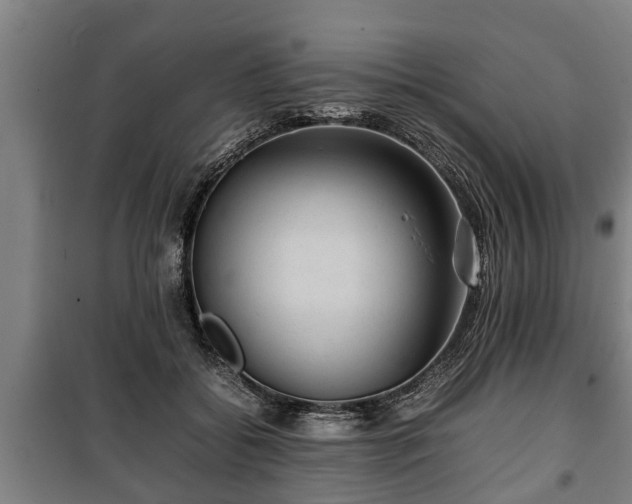 X0000100190556200806061301