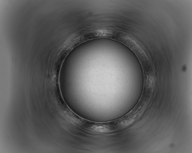 X0000100190557200806061301