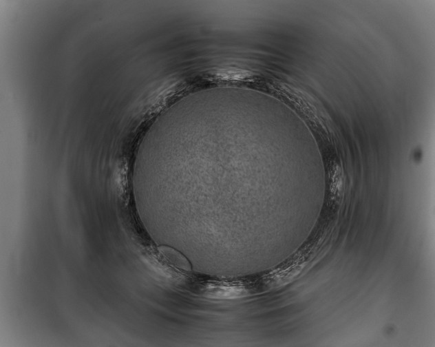 X0000100190559200806061301