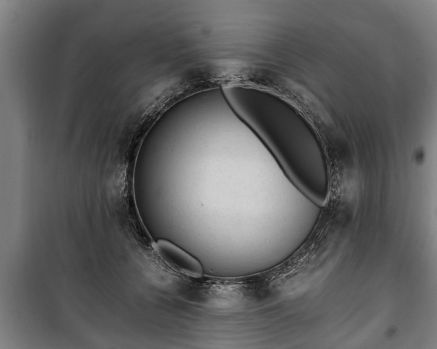 X0000100190560200806061301