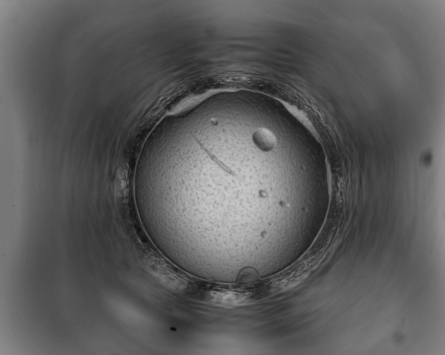 X0000100190561200806061301