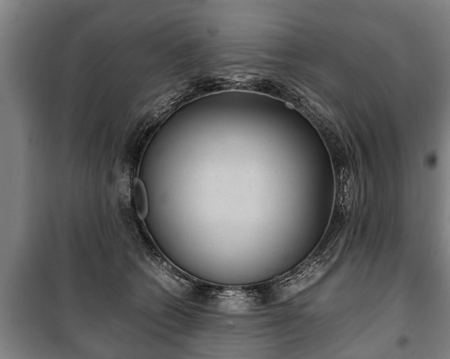 X0000100190562200806061301