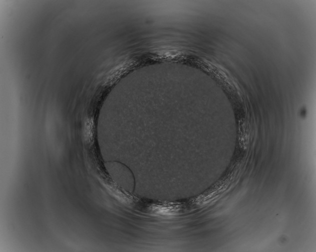 X0000100190563200806061301