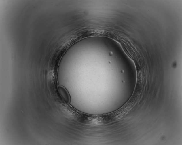 X0000100190564200806061301