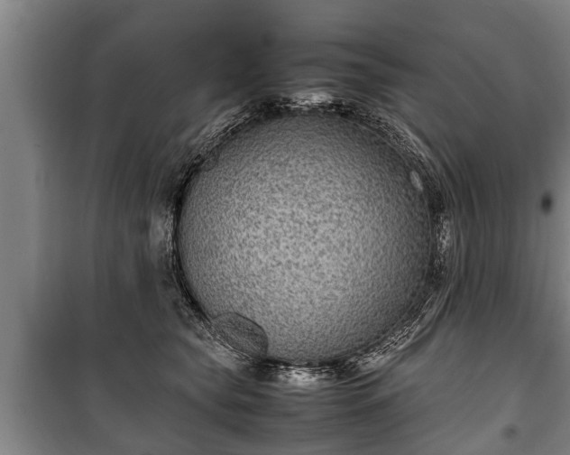 X0000100190565200806061301