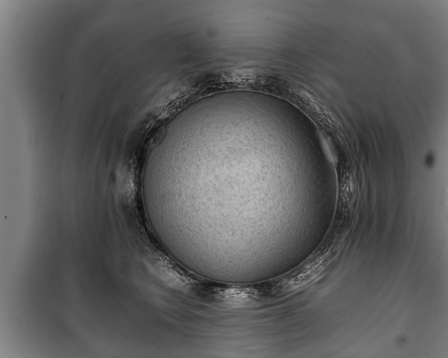 X0000100190566200806061301