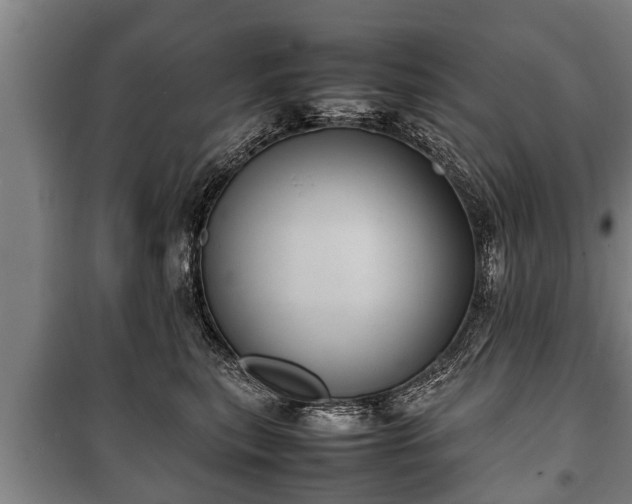 X0000100190567200806061301