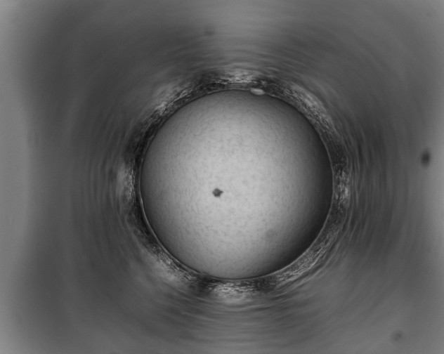 X0000100190568200806061301