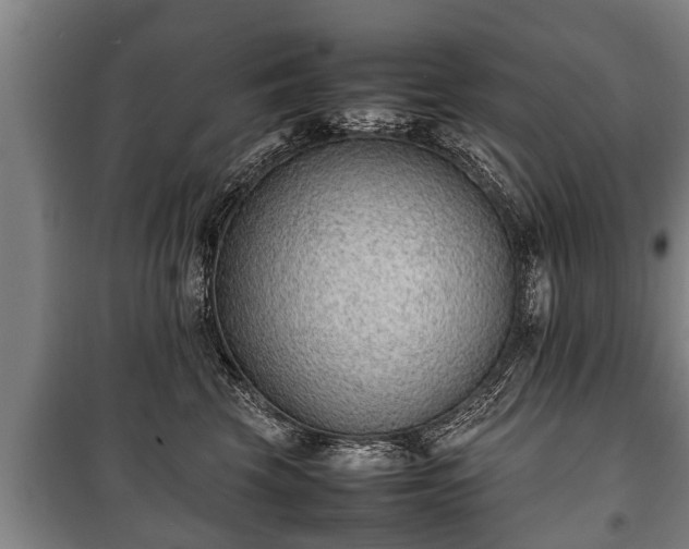 X0000100190569200806061301