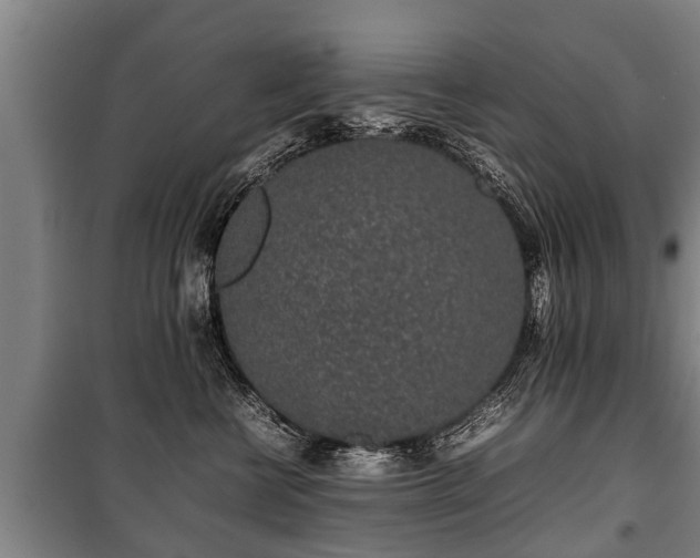 X0000100190570200806061301