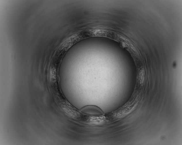 X0000100190571200806061301