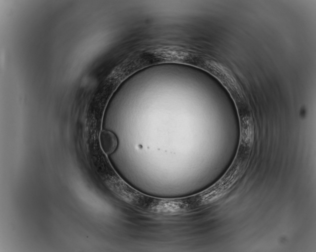 X0000100190573200806061301