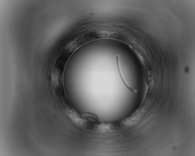 X0000100190574200806061301