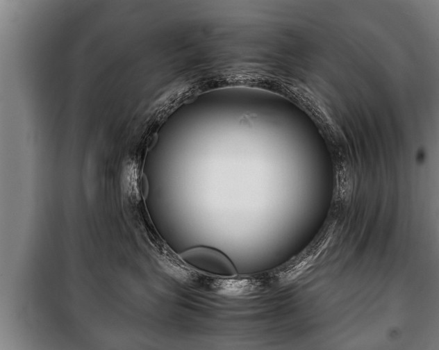 X0000100190575200806061301