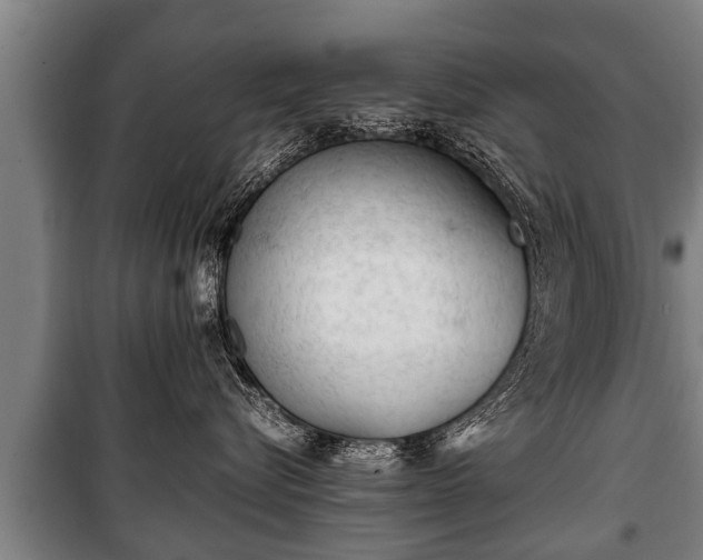 X0000100190576200806061301