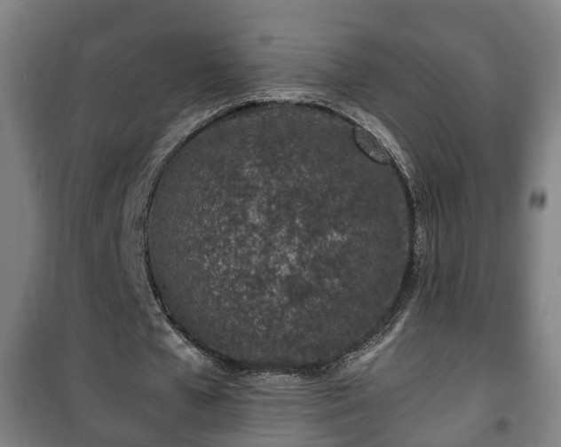 X0000100190577200806061300