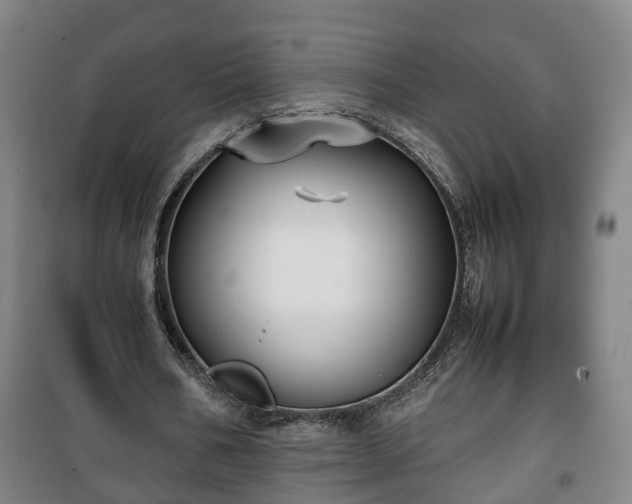 X0000100190578200806061300