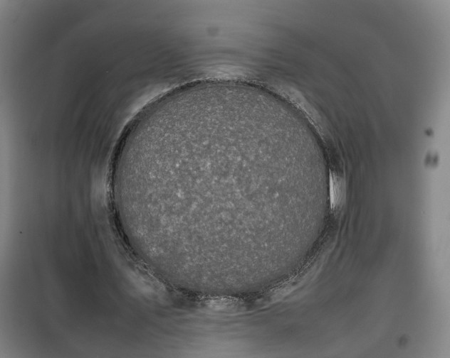 X0000100190579200806061300