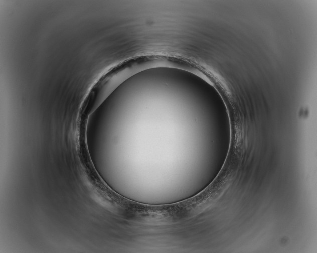 X0000100190580200806061300