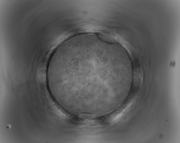 X0000100190581200806061300