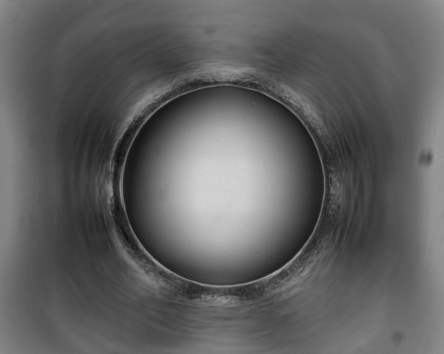 X0000100190582200806061300