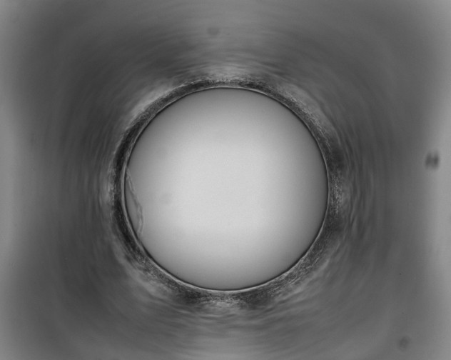 X0000100190583200806061300