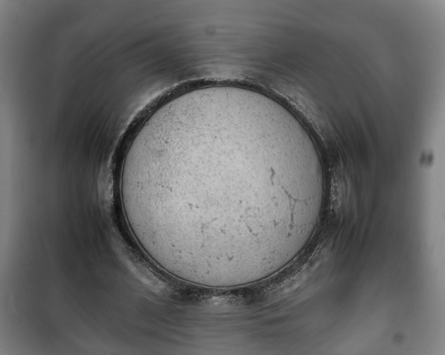 X0000100190584200806061300