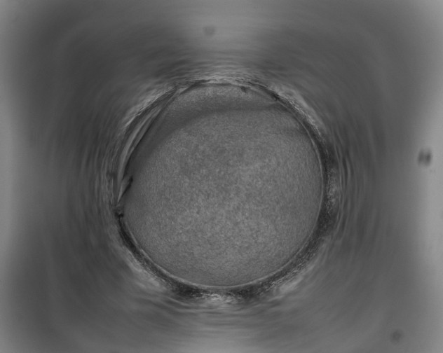 X0000100190585200806061300