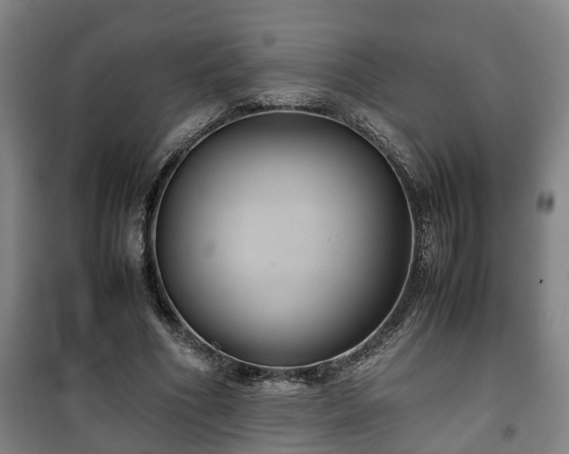 X0000100190586200806061300