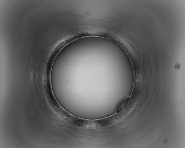 X0000100190587200806061300