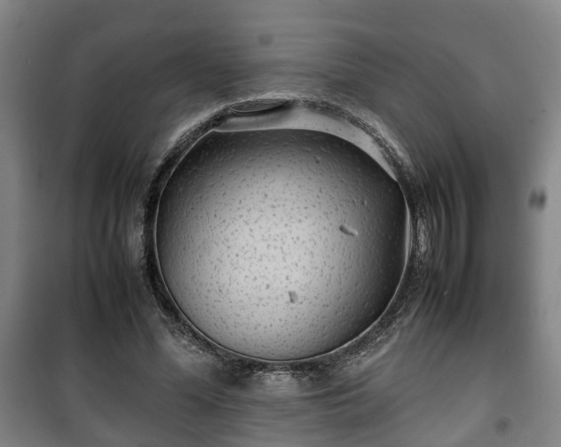 X0000100190588200806061300