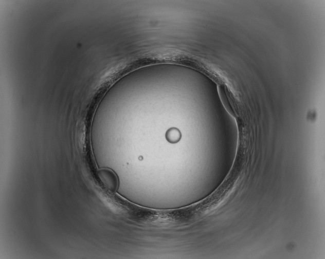 X0000100190589200806061300