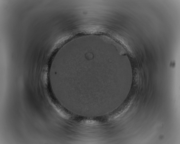 X0000100190590200806061300