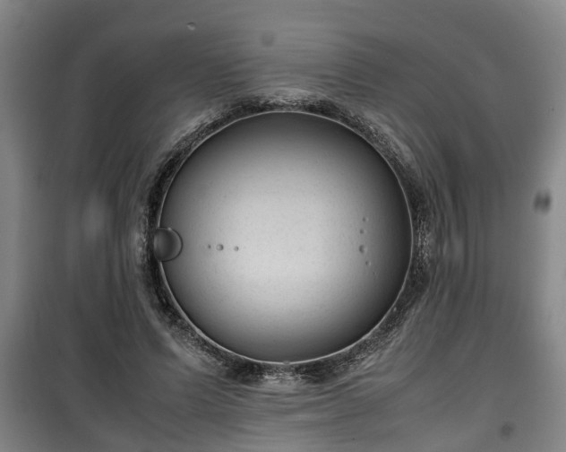 X0000100190591200806061300