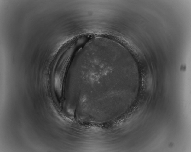 X0000100190592200806061300