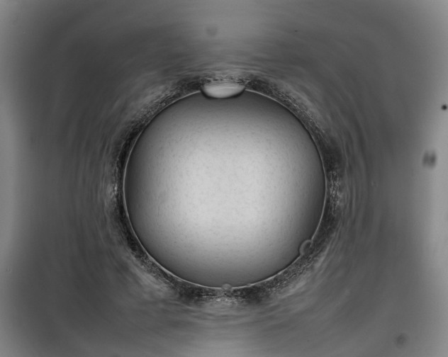 X0000100190593200806061300