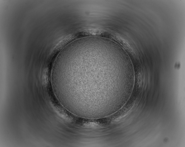 X0000100190594200806061300